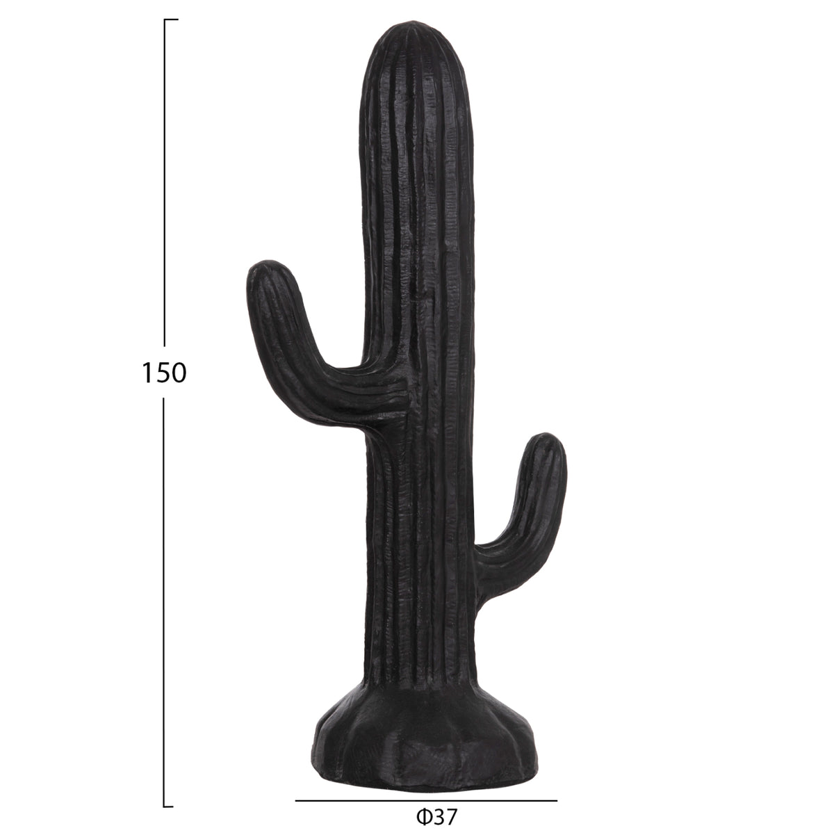 ΔΙΑΚΟΣΜΗΤΙΚΟΣ ΚΑΚΤΟΣ ΔΑΠΕΔΟΥ CACTUS HM4386.01L ΓΥΨΟΣ ΣΕ ΜΑΥΡΟ 63x37x150Υεκ.