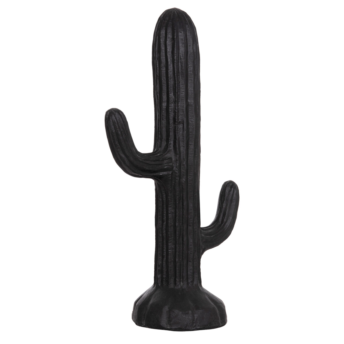 ΔΙΑΚΟΣΜΗΤΙΚΟΣ ΚΑΚΤΟΣ ΔΑΠΕΔΟΥ CACTUS HM4386.01L ΓΥΨΟΣ ΣΕ ΜΑΥΡΟ 63x37x150Υεκ.
