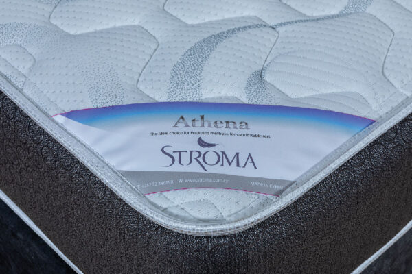 04-3-ATHENA-DET.-SPY_3419 Athena - Image 2