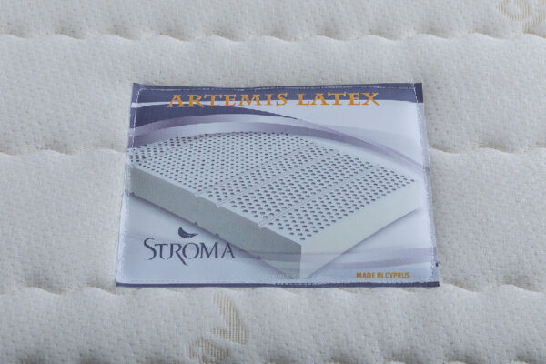 07-2-ARTEMIS-LATEX-LABEL-SPY_3867 Artemis - Image 6