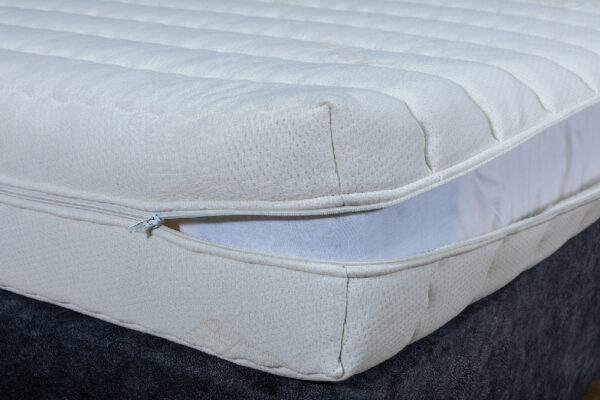 07-4-ELECTRA-SPY_3888 Electra - Image 2