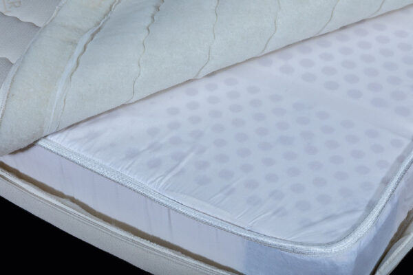 07-5-ARTEMIS-SPY_3889 Artemis - Image 4