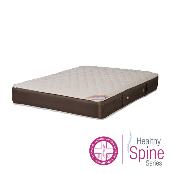 1080x1080_MS_DSC5328 Healthy Spine MS (MediumSoft) - Image 1