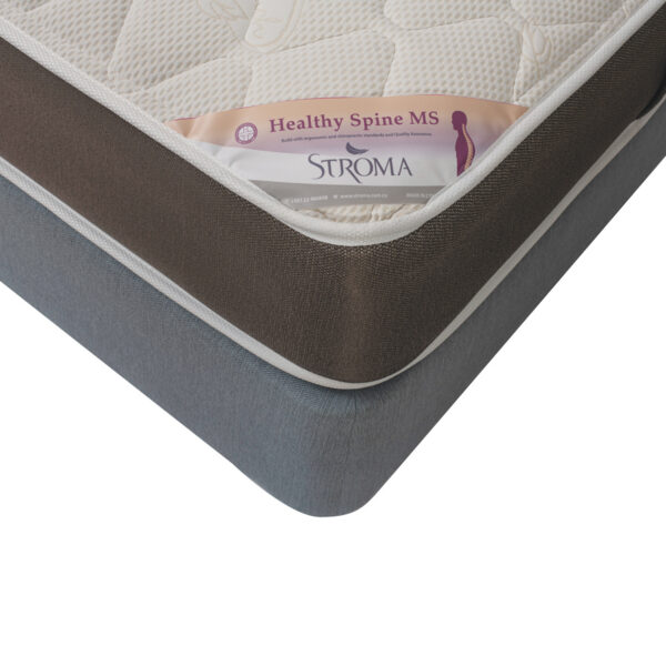 HS_MS_1080x1080_DSC5351 Healthy Spine MS (MediumSoft) - Image 2