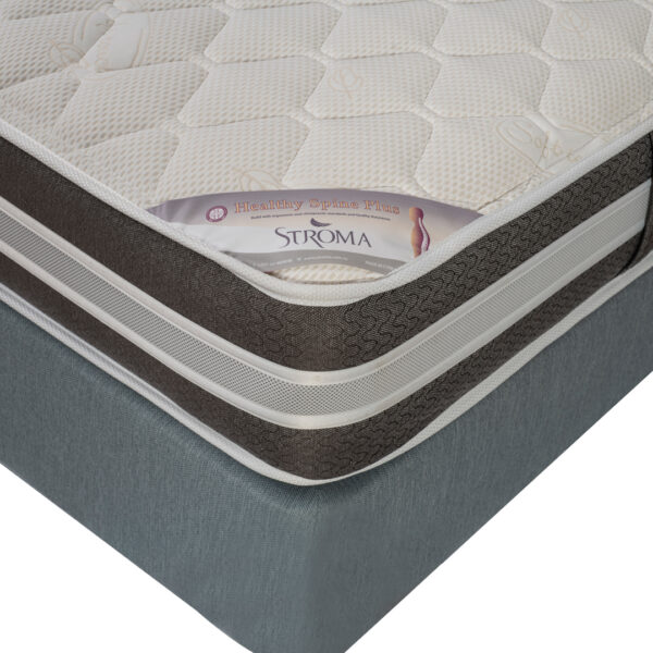 HS_PLUS_1080x1080_DSC5333 Healthy Spine PLUS - Image 2